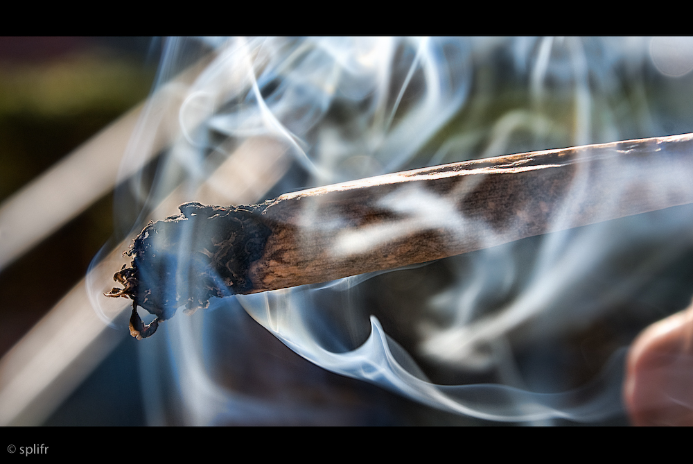 Cannabis: an increased risk?
